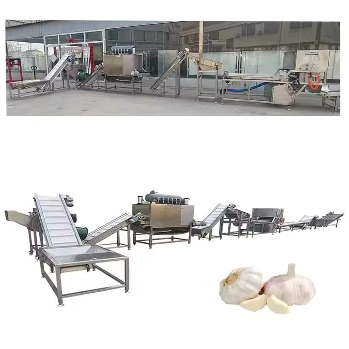Peeled Garlic Production Line Garlic Processing Machine Making Machine Peeling Garlic Machine