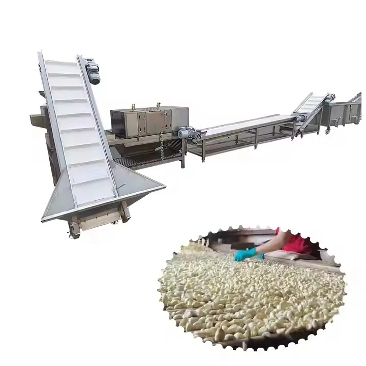Peeled Garlic Production Line Garlic Processing Machine Making Machine Peeling Garlic Machine