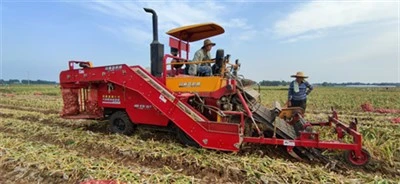 Self-propelled Qej Harvester Txiav Stems